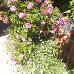 Bed and breakfast La De Cécile