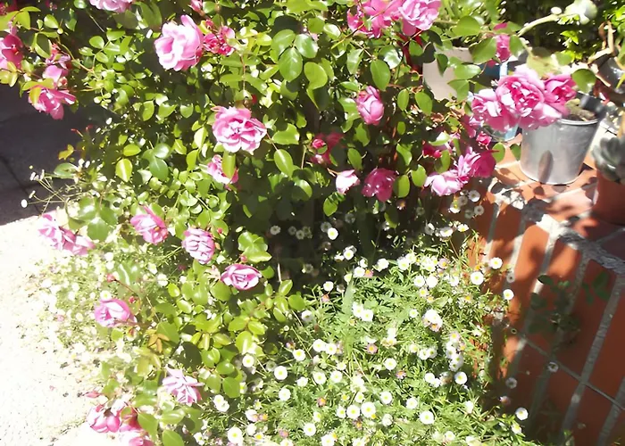 Bed & Breakfast La De Cecile